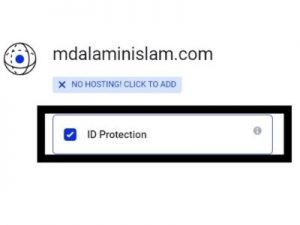 domain id protection